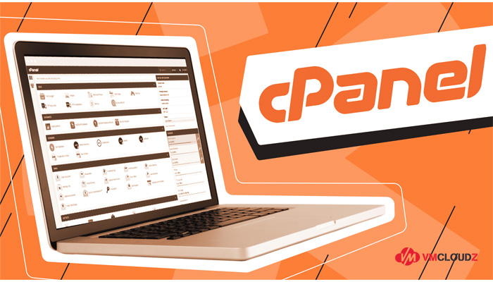 loi-thuong-gap-khi-tro-ten-mien-ve-host-cua-cpanel