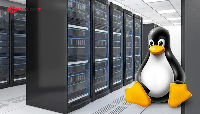 ai-nen-su-dung-linux-hosting