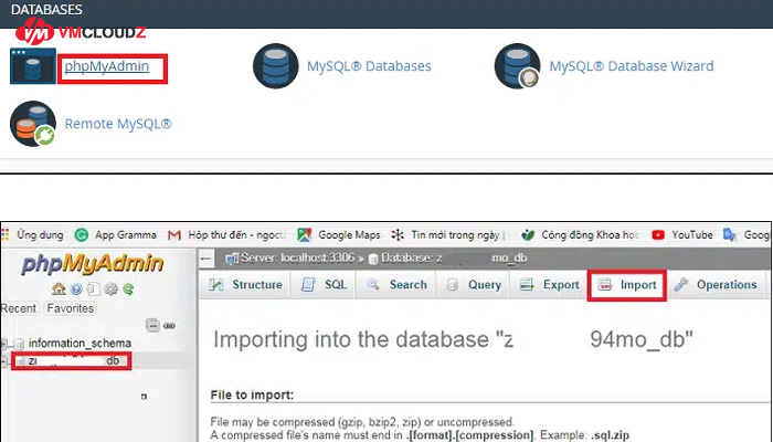 import-database