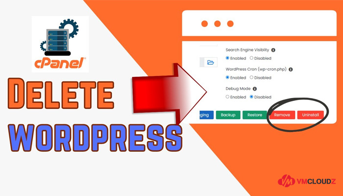 xoa-wordpress-tren-cpanel